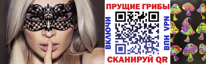 Купить закладки Константиновск Псилоцибиновые грибы ЛСД